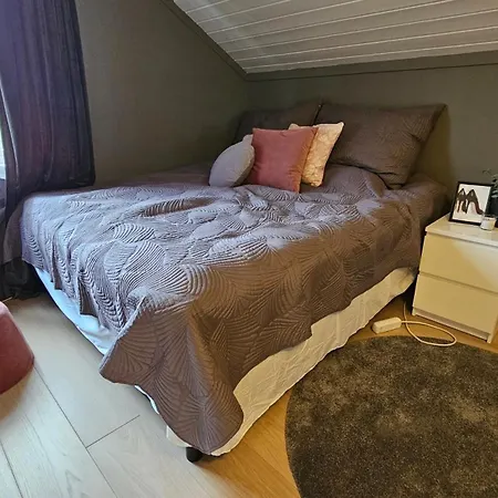 Aalesund 5 Bedroom! 奥勒松